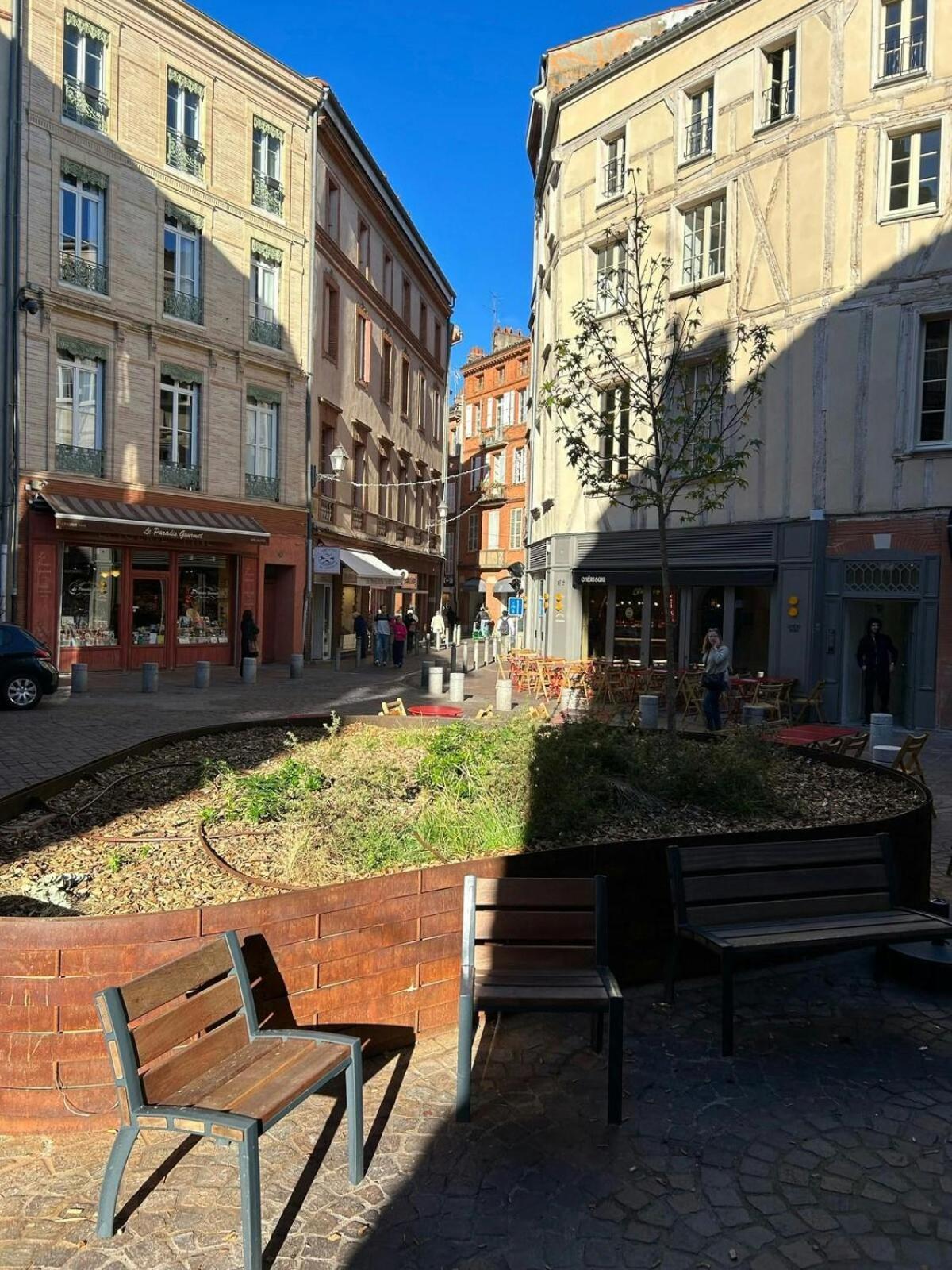 T1Bis-Cosy-Place Salengro-Metro Tuluza Zewnętrze zdjęcie